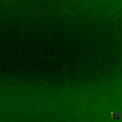 Antik cathedral 4-5 dark green 80x80cm Antik cathedral 4-5 dark green 80x80cm