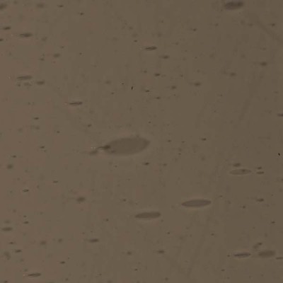 L Gris 4119F oscuro L Gris 4119F oscuro