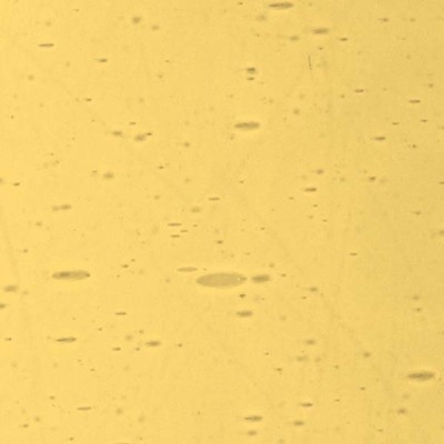 L Amber 68xx light L Amber 68xx light