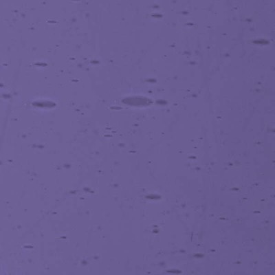 L Violet 2408xh medium L Violet 2408xh medium
