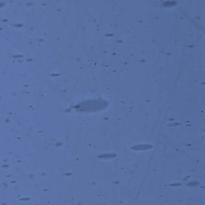 L Blue 926xh medium L Blue 926xh medium