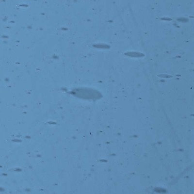 L Blue 1454xh medium L Blue 1454xh medium