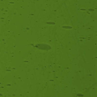 L Vert jaunâtre 1190F foncé L Vert jaunâtre 1190F foncé