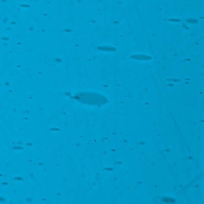 L Blue 989xh medium L Blue 989xh medium