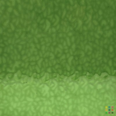 W English Muffle 287 (4907) vert kaki moyen 82x107cm W English Muffle 287 (4907) vert kaki moyen 82x107cm