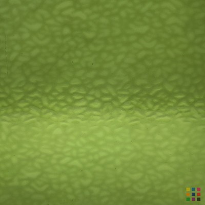 W English Muffle 318 (4914) vert jaunâtre moyen 82x107cm W English Muffle 318 (4914) vert jaunâtre moyen 82x107cm