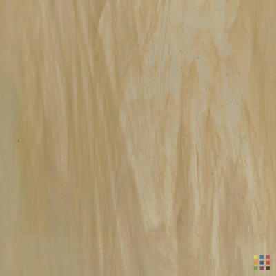 W Wisspy WO-569 champagne 82x107cm W Wisspy WO-569 champagne 82x107cm