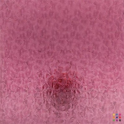 W Florentine 134 pourpre moyen 82x107cm W Florentine 134 pourpre moyen 82x107cm