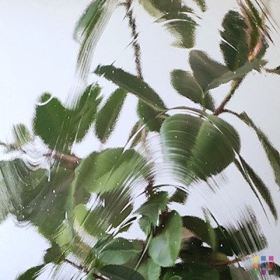 OS Baroque BR Clear 61x122cm OS Baroque BR Clear 61x122cm