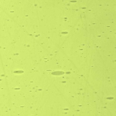 L Vert jaunâtre 2257xx clair L Vert jaunâtre 2257xx clair