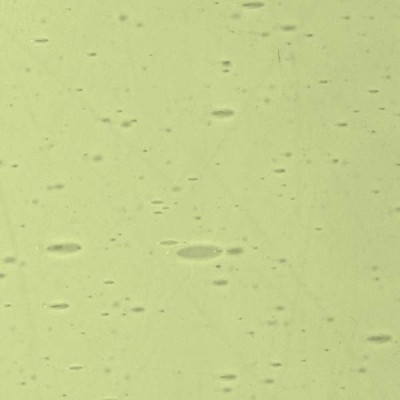 L Yellowish green 269xx light L Yellowish green 269xx light