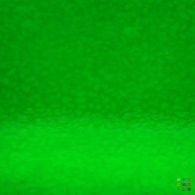 W English Muffle 343 (4925) vert moyen 82x107cm W English Muffle 343 (4925) vert moyen 82x107cm