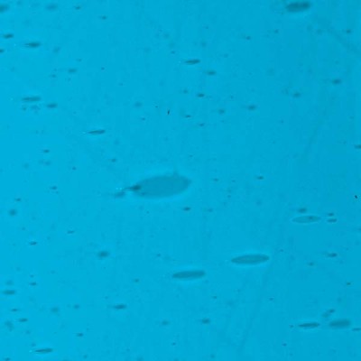 L Blue 975xh medium L Blue 975xh medium