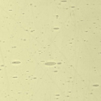 L Yellowish green 200xx light L Yellowish green 200xx light