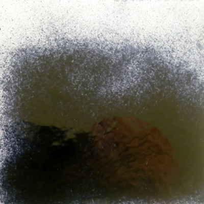 Frittes Float poudre 0026/0 noir brillant transparent 250g Frittes Float poudre 0026/0 noir brillant transparent 250g