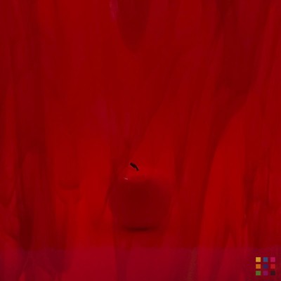 OS Wispy 359-1S-F rouge 20x30cm OS Wispy 359-1S-F rouge 20x30cm