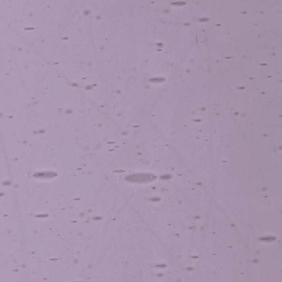 L Violet 3704xx clair L Violet 3704xx clair