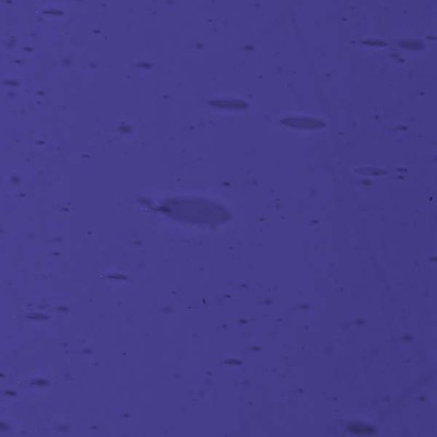 L Azul-violeta 1302F oscuro L Azul-violeta 1302F oscuro
