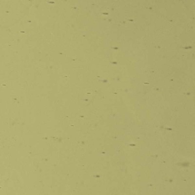 L Plaqué 4210U blanc translucide sur vert jaunâtre L Plaqué 4210U blanc translucide sur vert jaunâtre