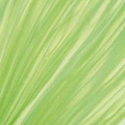 L Streaky S6 vert et blanc opaque sur clair L Streaky S6 vert et blanc opaque sur clair