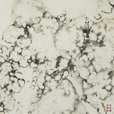 Miroir vieilli "Gris argenté" 4mm 125x245cm Miroir vieilli "Gris argenté" 4mm 125x245cm