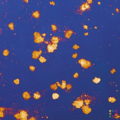 Miroir décoratif "Poussière d`étoiles - bleu" 4mm 125x245cm Miroir décoratif "Poussière d`étoiles - bleu" 4mm 125x245cm