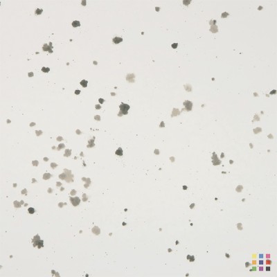 Miroir vieilli "Météorite" 4mm 125x245cm Miroir vieilli "Météorite" 4mm 125x245cm