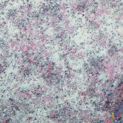 Miroir vieilli "Iris" 4mm 125x245cm Miroir vieilli "Iris" 4mm 125x245cm