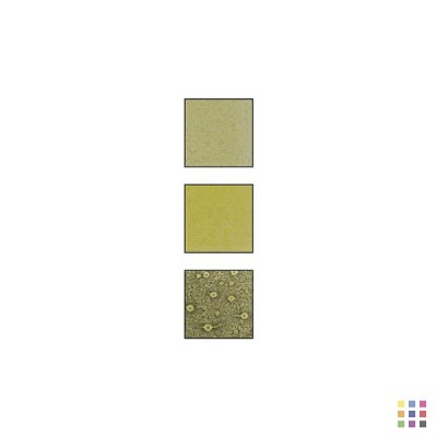 GB08 daffodil yellow Glassline bubble pen 56g GB08 daffodil yellow Glassline bubble pen 56g