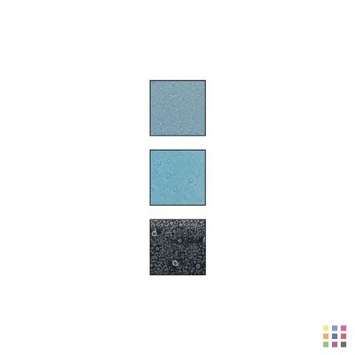 Crayon Glassline effet bulle GB11 bleu turquoise 56g Crayon Glassline effet bulle GB11 bleu turquoise 56g