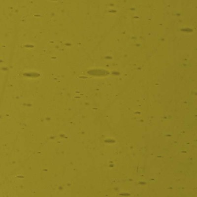 L Yellowish green 2721xh medium L Yellowish green 2721xh medium