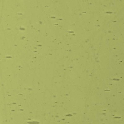 L Yellowish green 227xx light L Yellowish green 227xx light